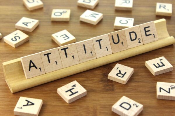 Attitude Assessment